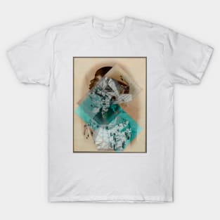 Hall of Mirrors T-Shirt